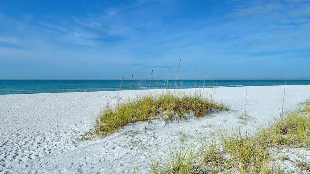 Beach Palms- Unit 102 Lejlighedshotel Clearwater Beach Eksteriør billede